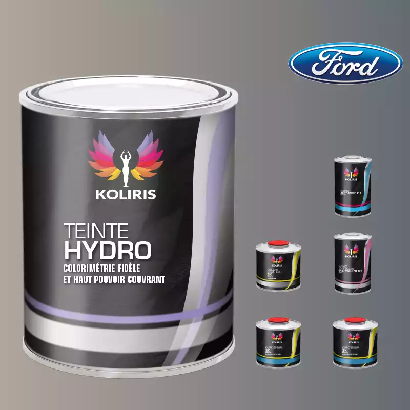 Pack peinture vernis apprêt voiture hydro Ford