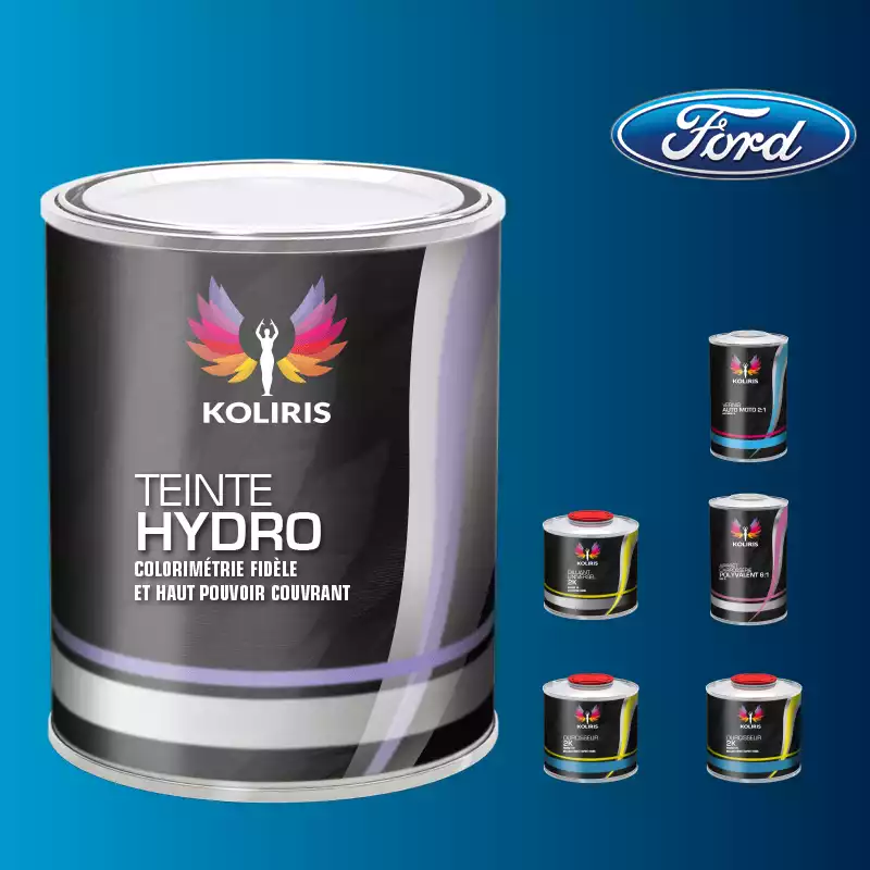 Pack peinture vernis apprêt voiture hydro Ford