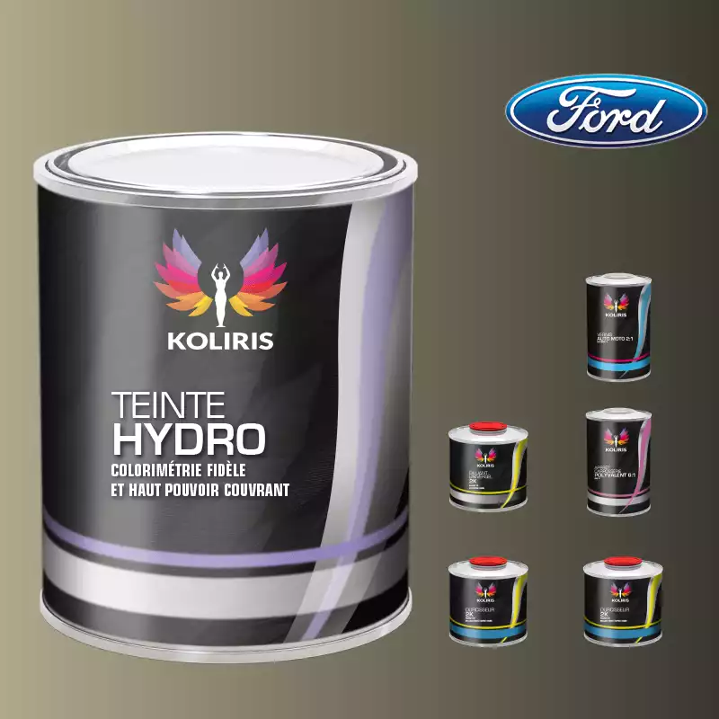 Pack peinture vernis apprêt voiture hydro Ford