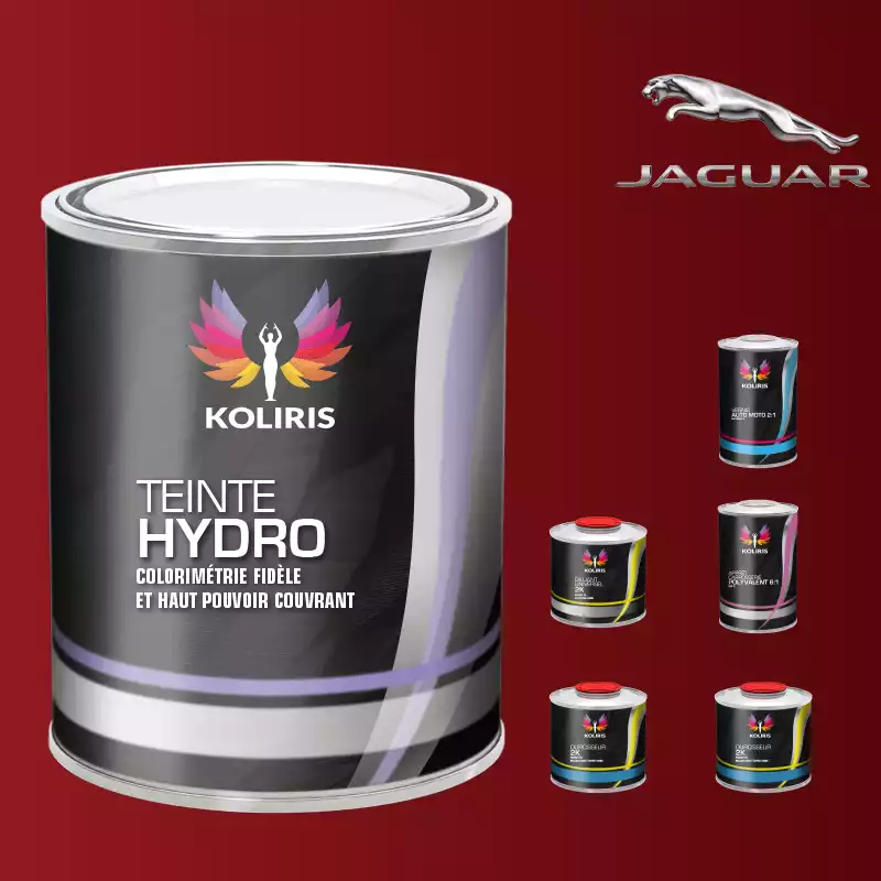Pack peinture vernis apprêt voiture hydro Jaguar 