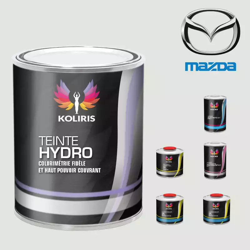 Pack peinture vernis apprêt voiture hydro Mazda