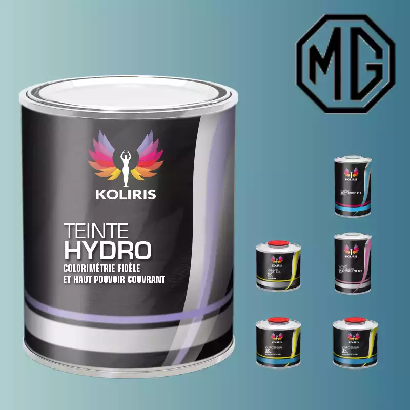 Pack peinture vernis apprêt voiture hydro Mg