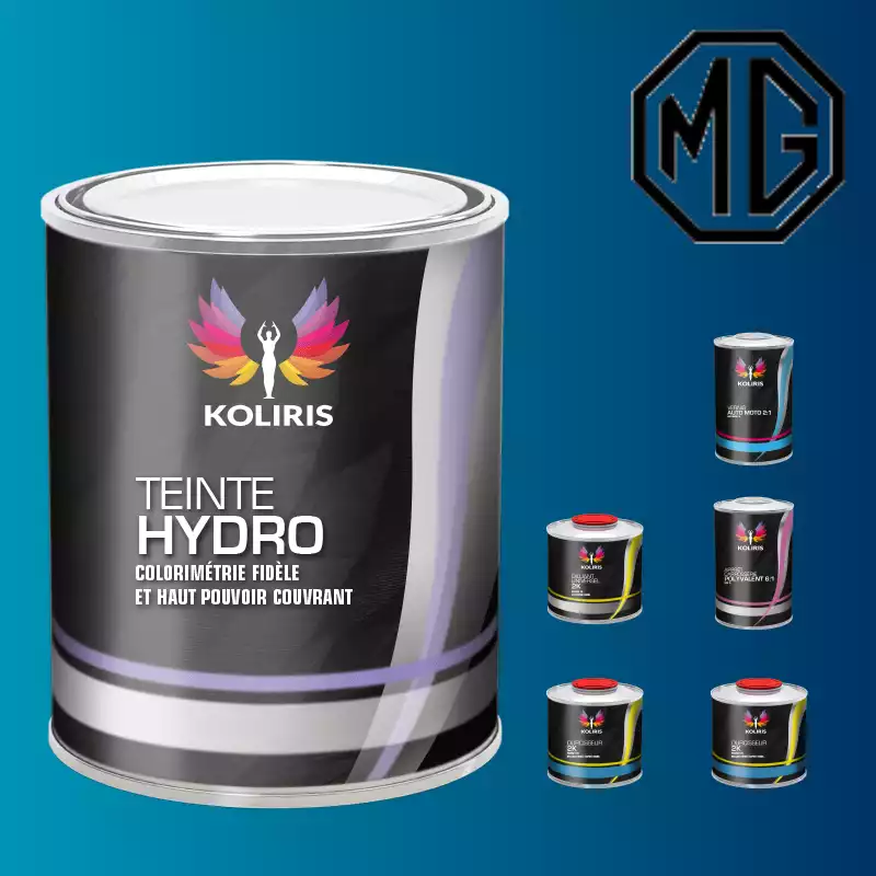 Pack peinture vernis apprêt voiture hydro Mg