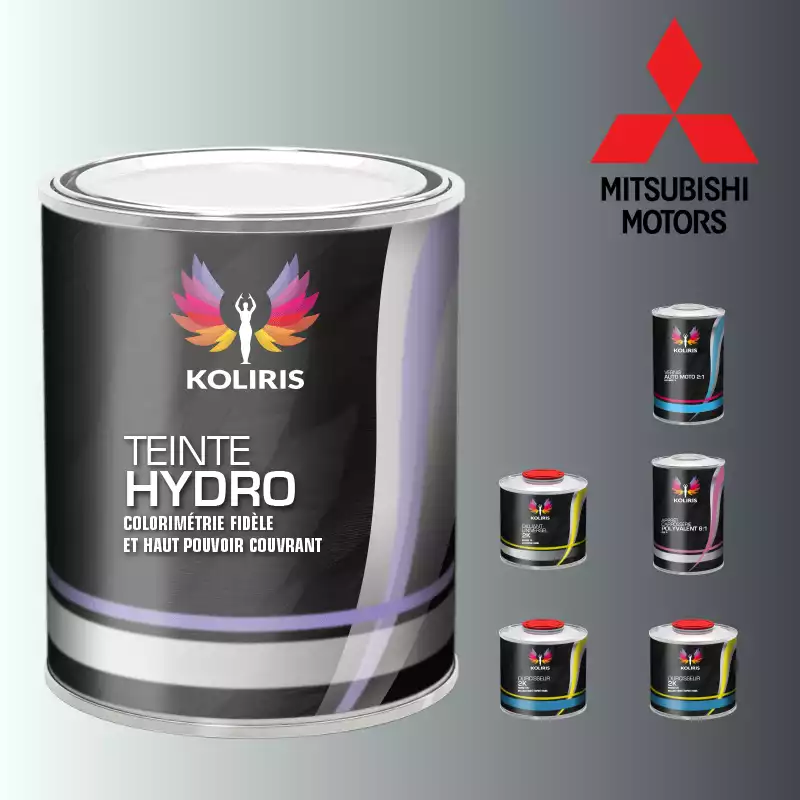 Pack peinture vernis apprêt voiture hydro Mitsubishi