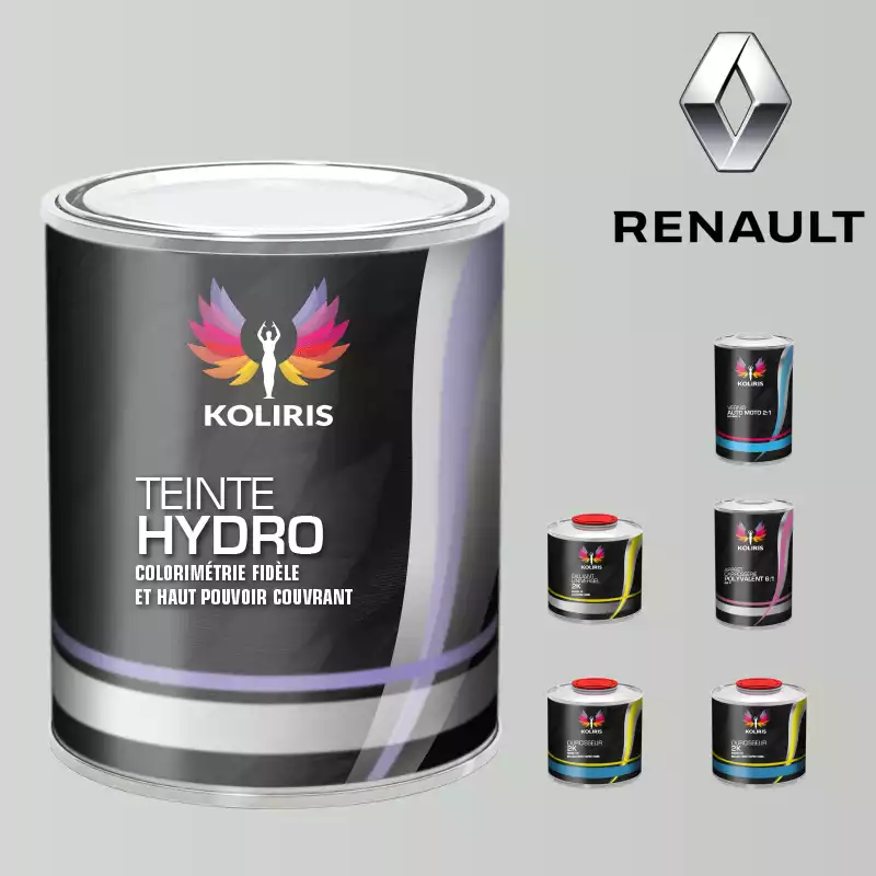 Pack peinture vernis apprêt voiture hydro Renault