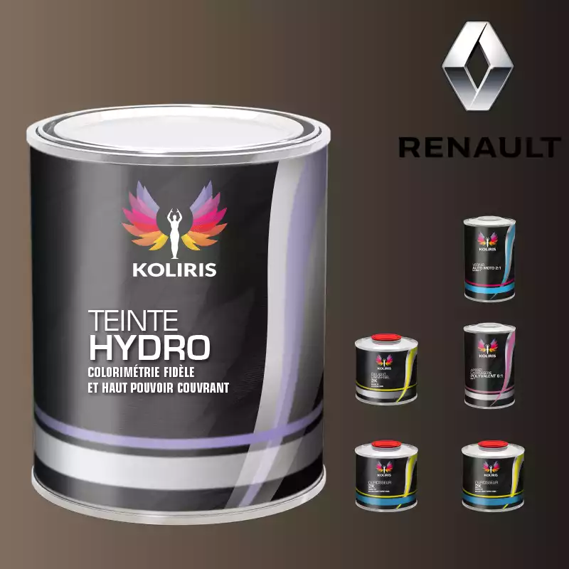 Pack peinture vernis apprêt voiture hydro Renault