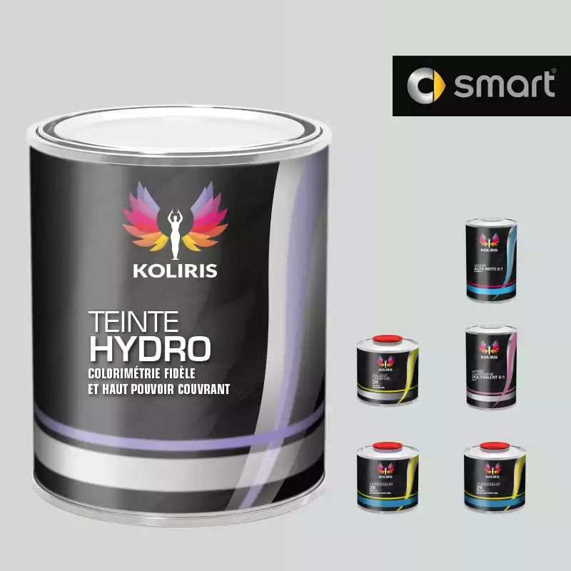 Pack peinture vernis apprêt voiture hydro Smart