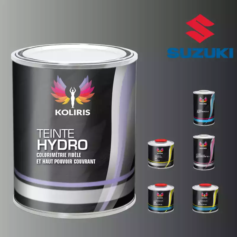 Pack peinture vernis apprêt voiture hydro Suzuki