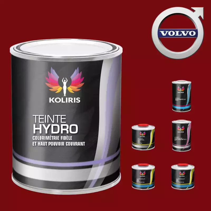 Pack peinture vernis apprêt voiture hydro Volvo 