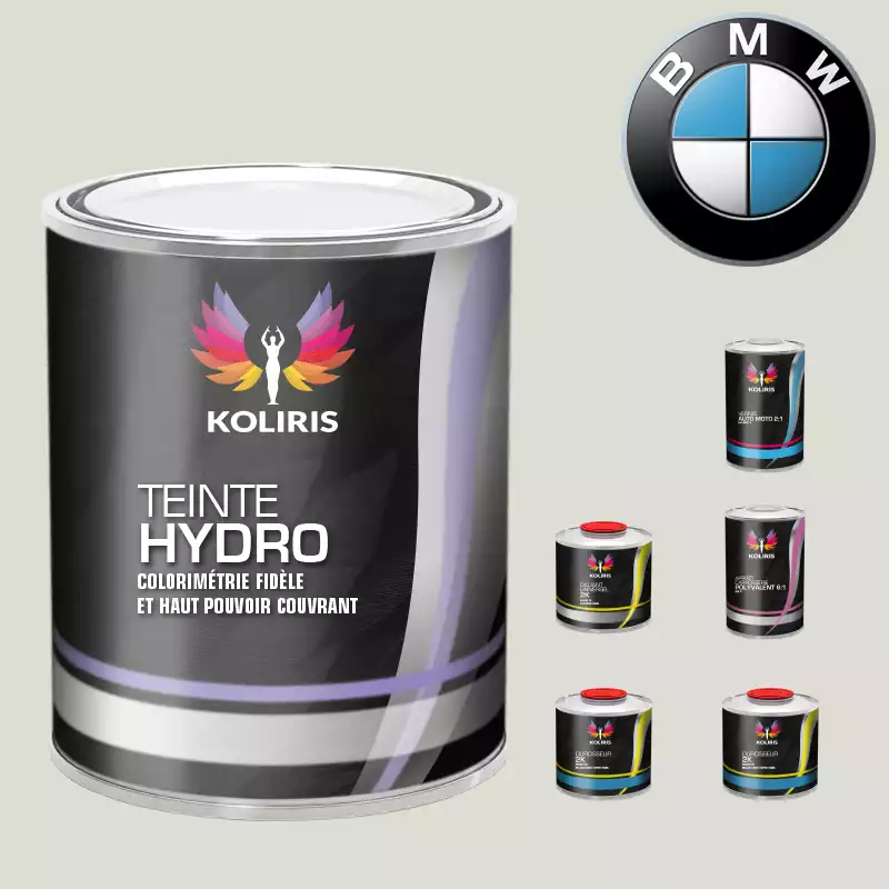 Pack peinture vernis apprêt moto hydro Bmw Moto