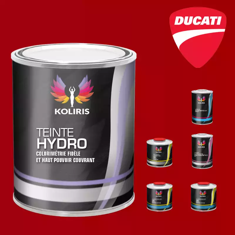 Pack peinture vernis apprêt moto hydro Ducati Moto