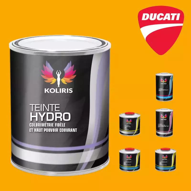 Pack peinture vernis apprêt moto hydro Ducati Moto