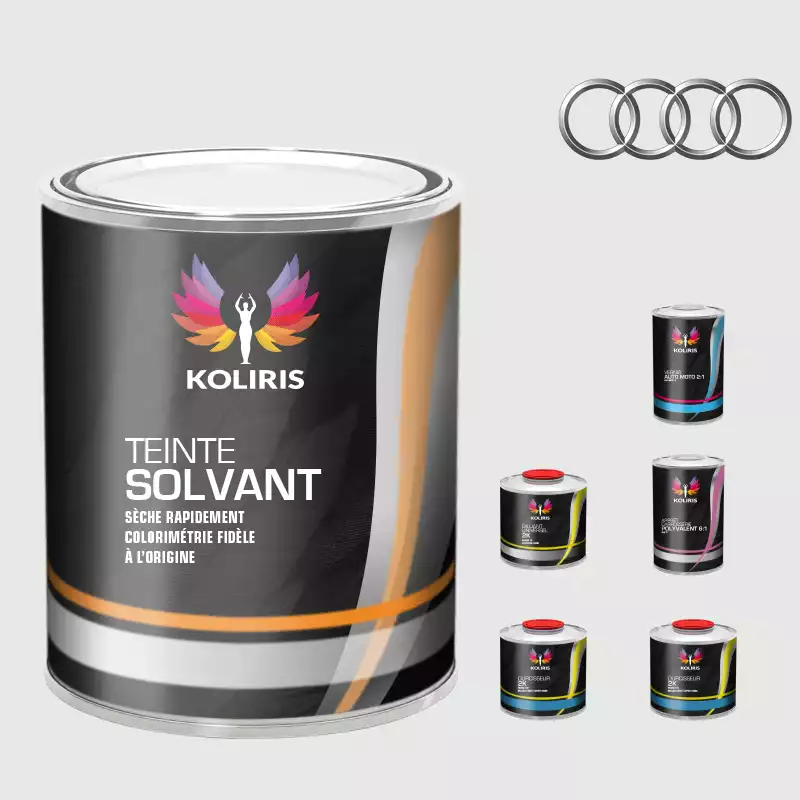 Pack peinture vernis apprêt voiture solvant Audi