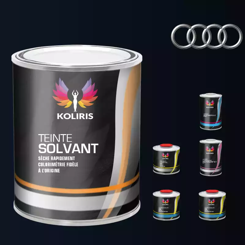 Pack peinture vernis apprêt voiture solvant Audi