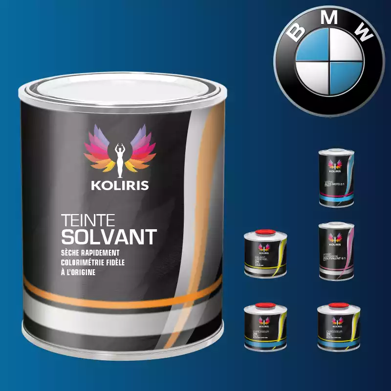 Pack peinture vernis apprêt voiture solvant Bmw