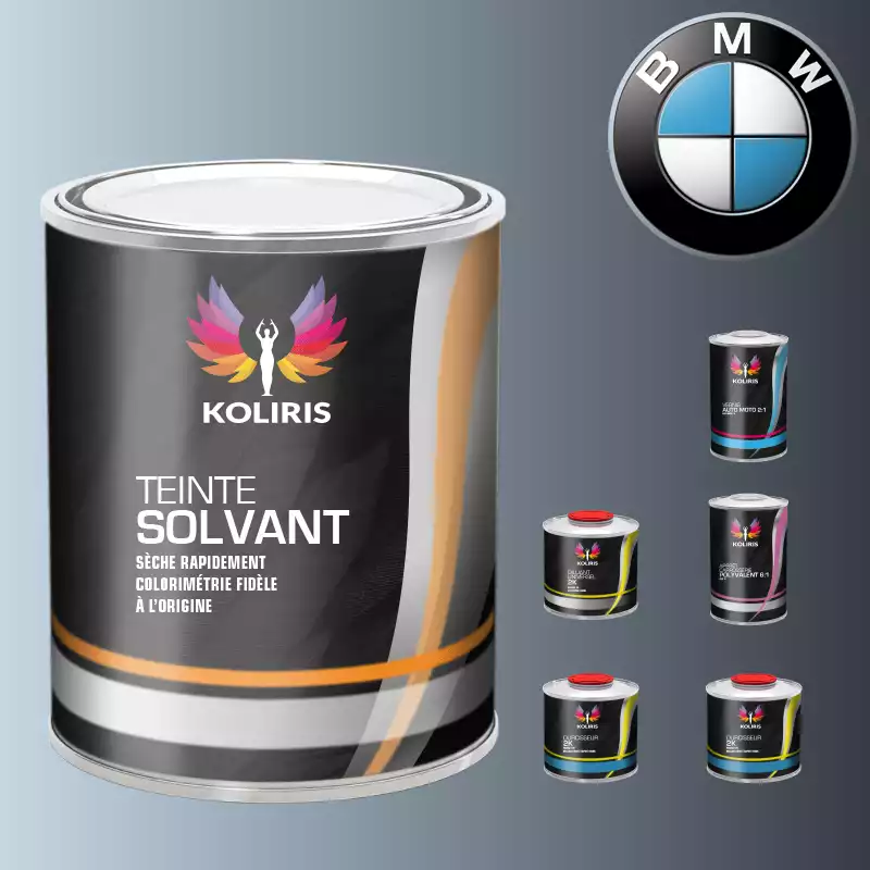Pack peinture vernis apprêt voiture solvant Bmw