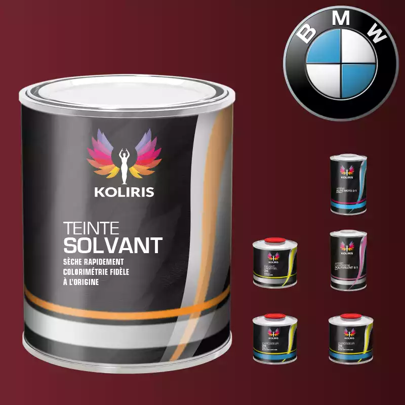 Pack peinture vernis apprêt voiture solvant Bmw