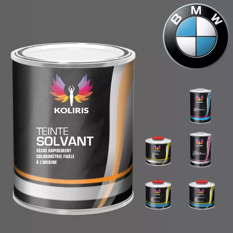 Pack peinture vernis apprêt voiture solvant Bmw