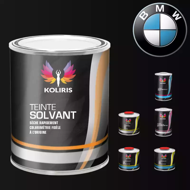Pack peinture vernis apprêt voiture solvant Bmw