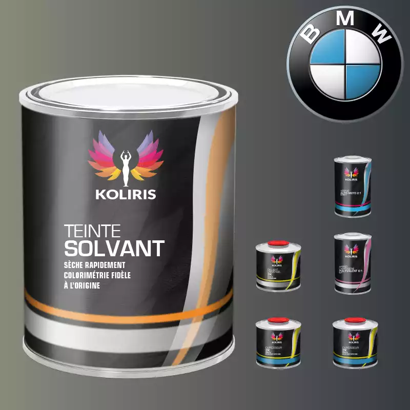 Pack peinture vernis apprêt voiture solvant Bmw
