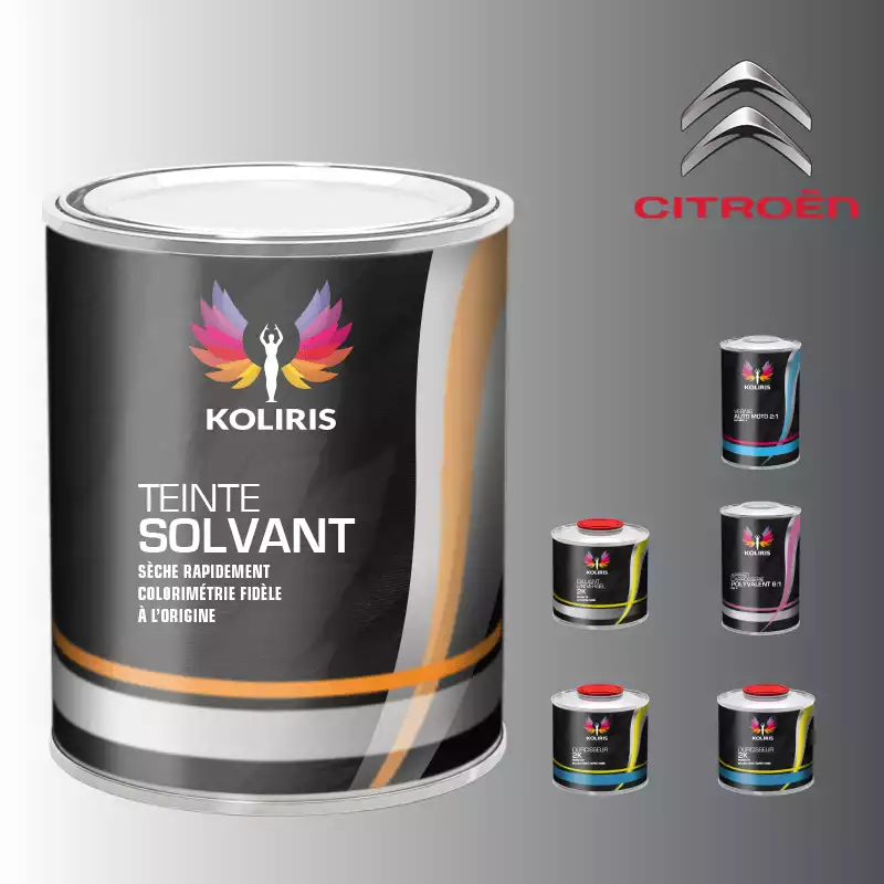 Pack peinture vernis apprêt voiture solvant Citroën