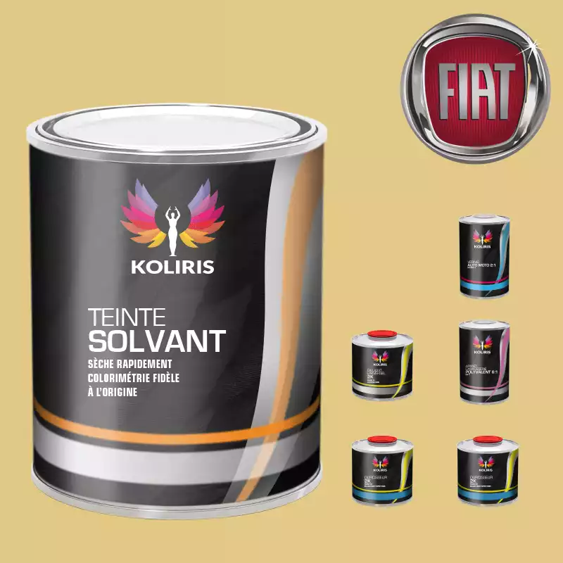 Pack peinture vernis apprêt voiture solvant Fiat