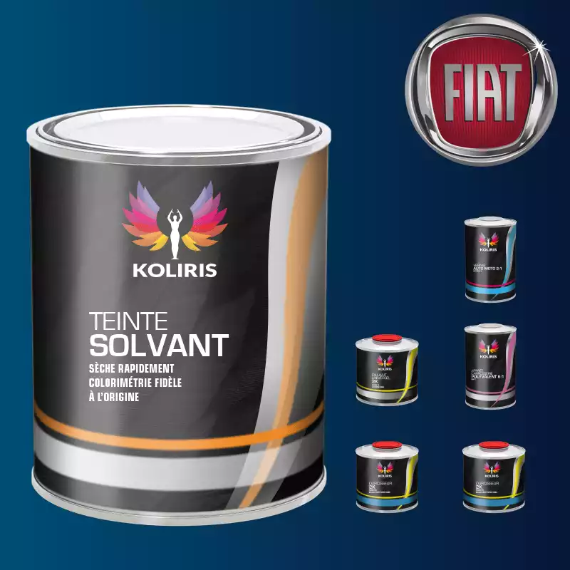 Pack peinture vernis apprêt voiture solvant Fiat