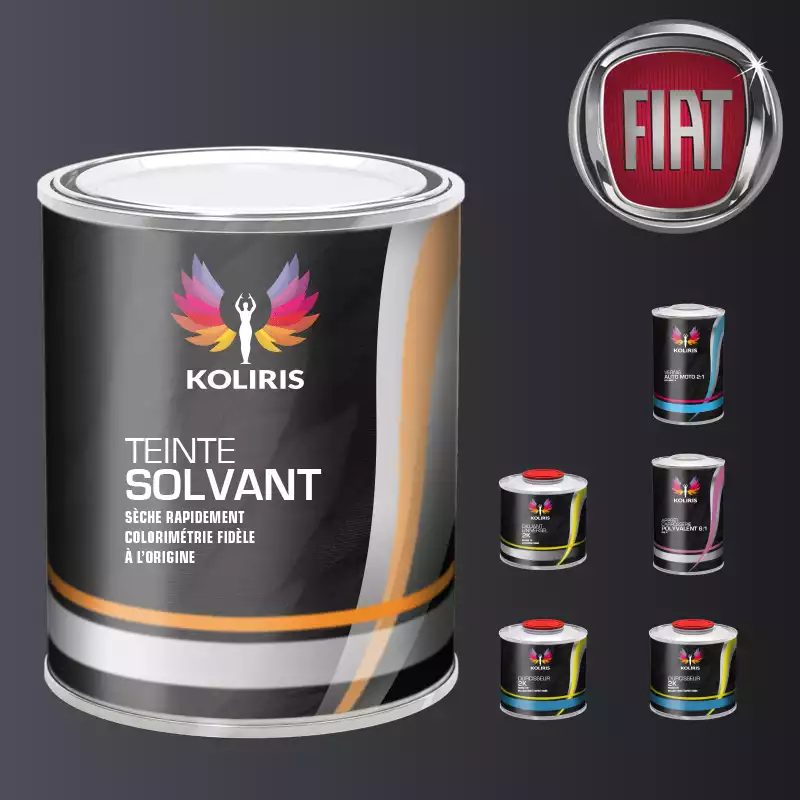 Pack peinture vernis apprêt voiture solvant Fiat