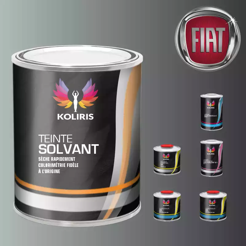 Pack peinture vernis apprêt voiture solvant Fiat