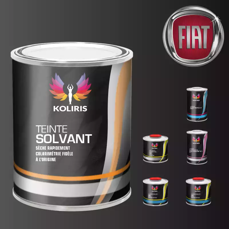 Pack peinture vernis apprêt voiture solvant Fiat