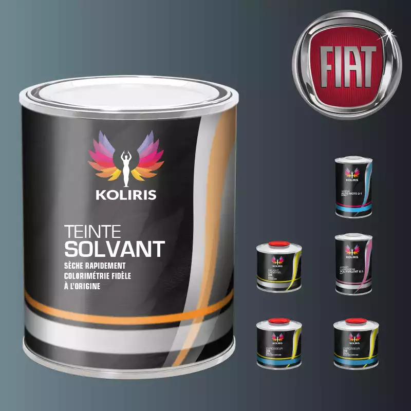 Pack peinture vernis apprêt voiture solvant Fiat
