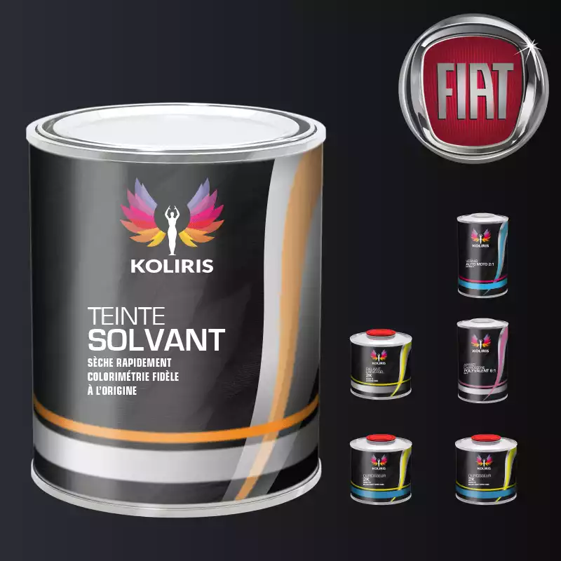 Pack peinture vernis apprêt voiture solvant Fiat