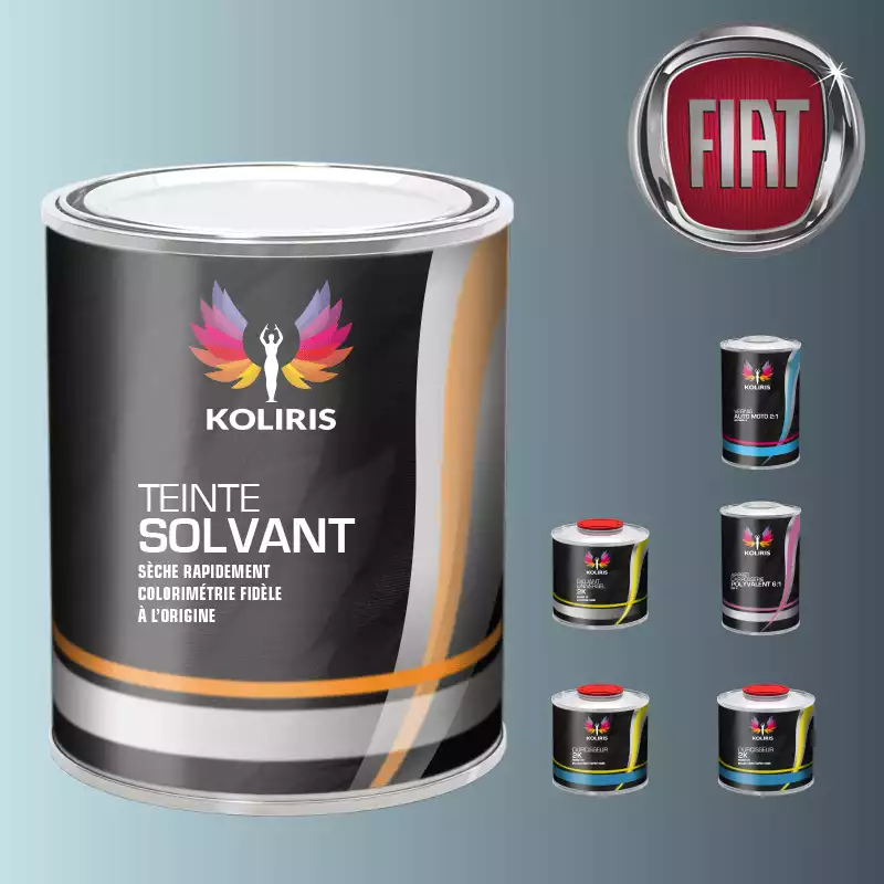 Pack peinture vernis apprêt voiture solvant Fiat