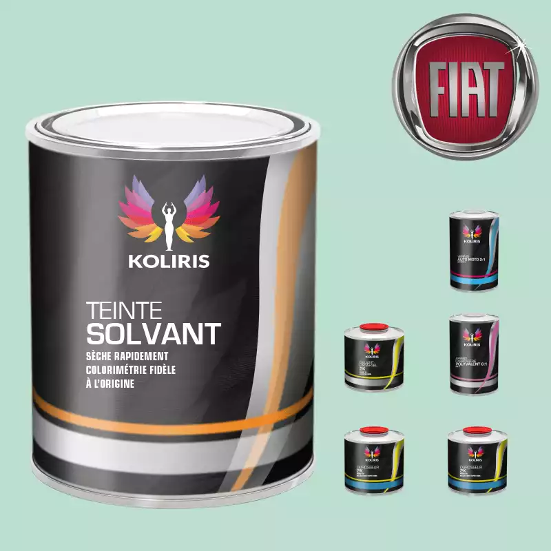 Pack peinture vernis apprêt voiture solvant Fiat