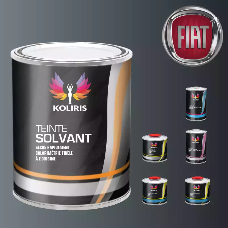 Pack peinture vernis apprêt voiture solvant Fiat