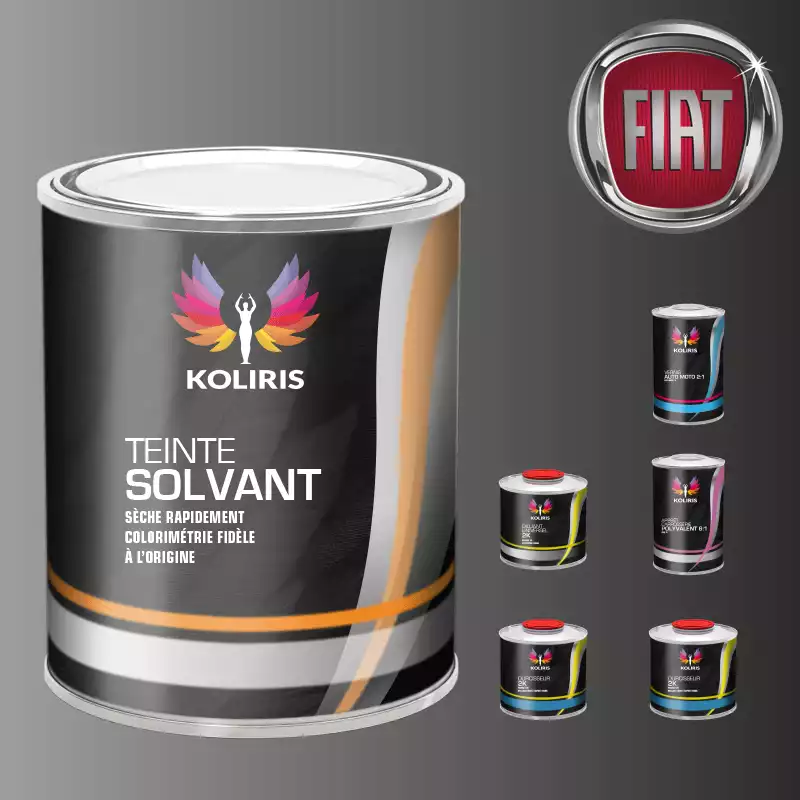 Pack peinture vernis apprêt voiture solvant Fiat