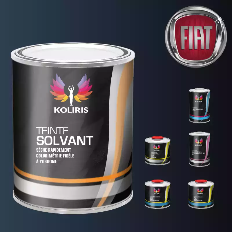 Pack peinture vernis apprêt voiture solvant Fiat