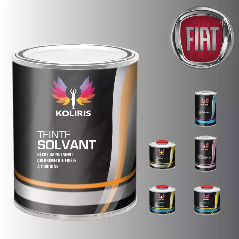 Pack peinture vernis apprêt voiture solvant Fiat