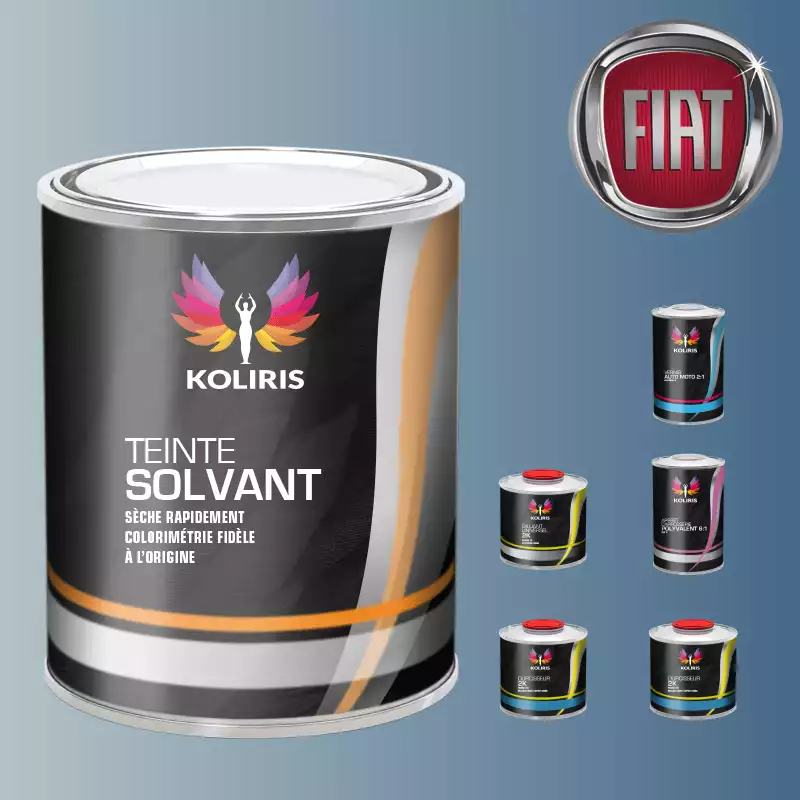 Pack peinture vernis apprêt voiture solvant Fiat