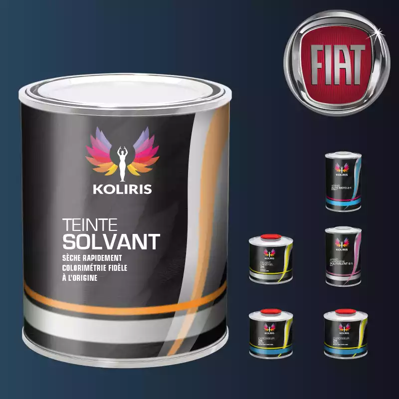 Pack peinture vernis apprêt voiture solvant Fiat