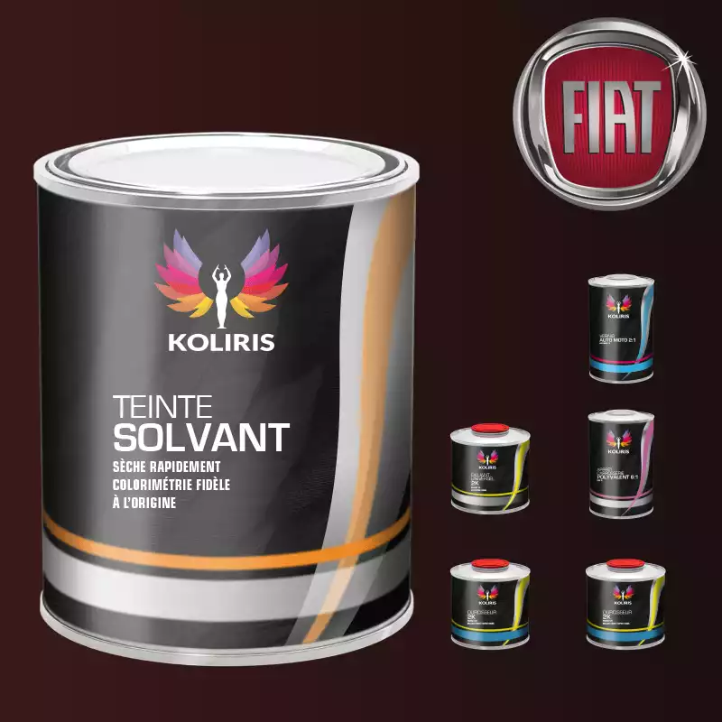 Pack peinture vernis apprêt voiture solvant Fiat