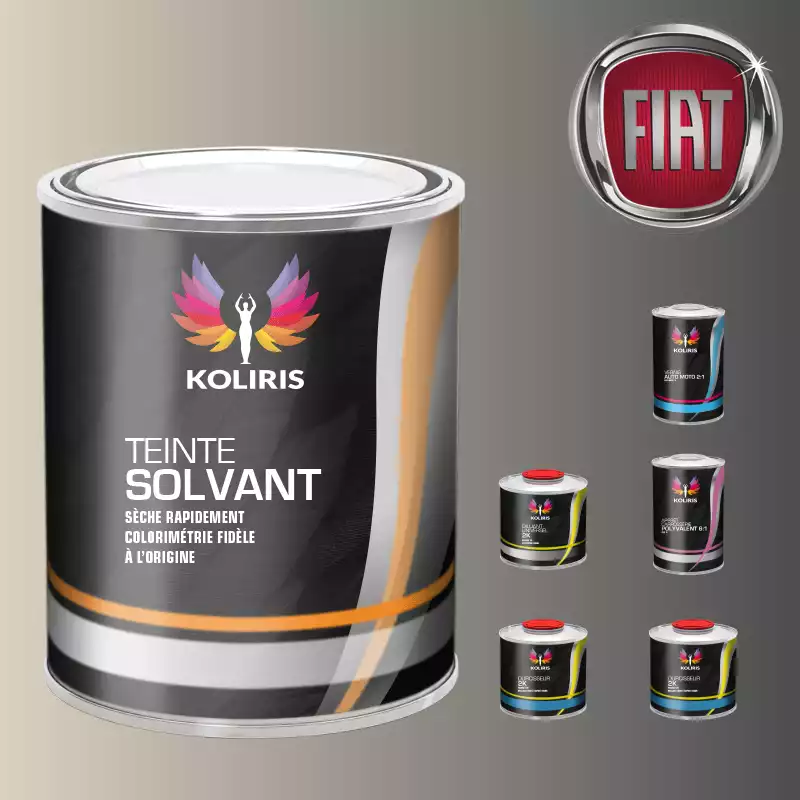 Pack peinture vernis apprêt voiture solvant Fiat