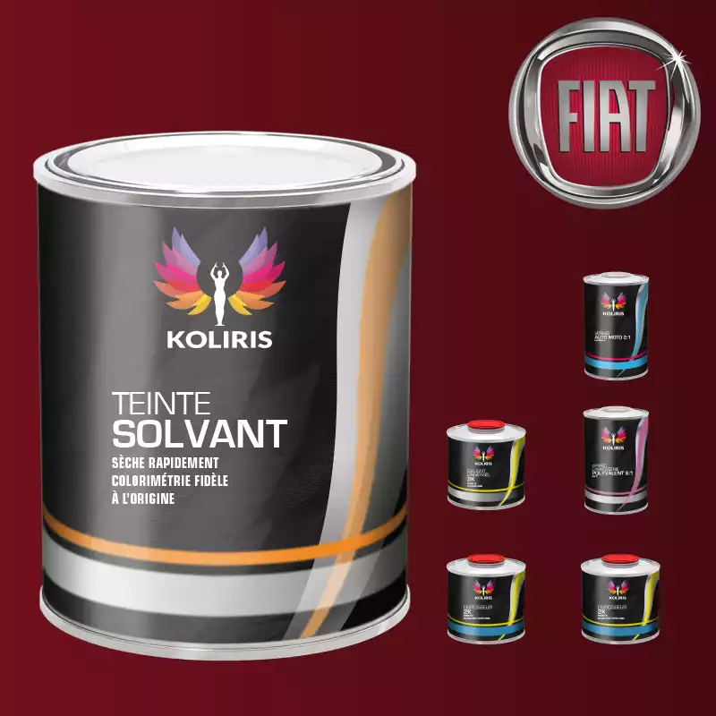 Pack peinture vernis apprêt voiture solvant Fiat