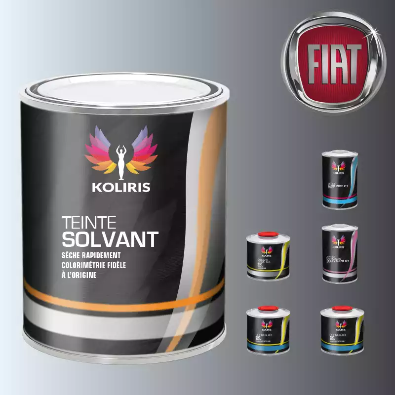 Pack peinture vernis apprêt voiture solvant Fiat