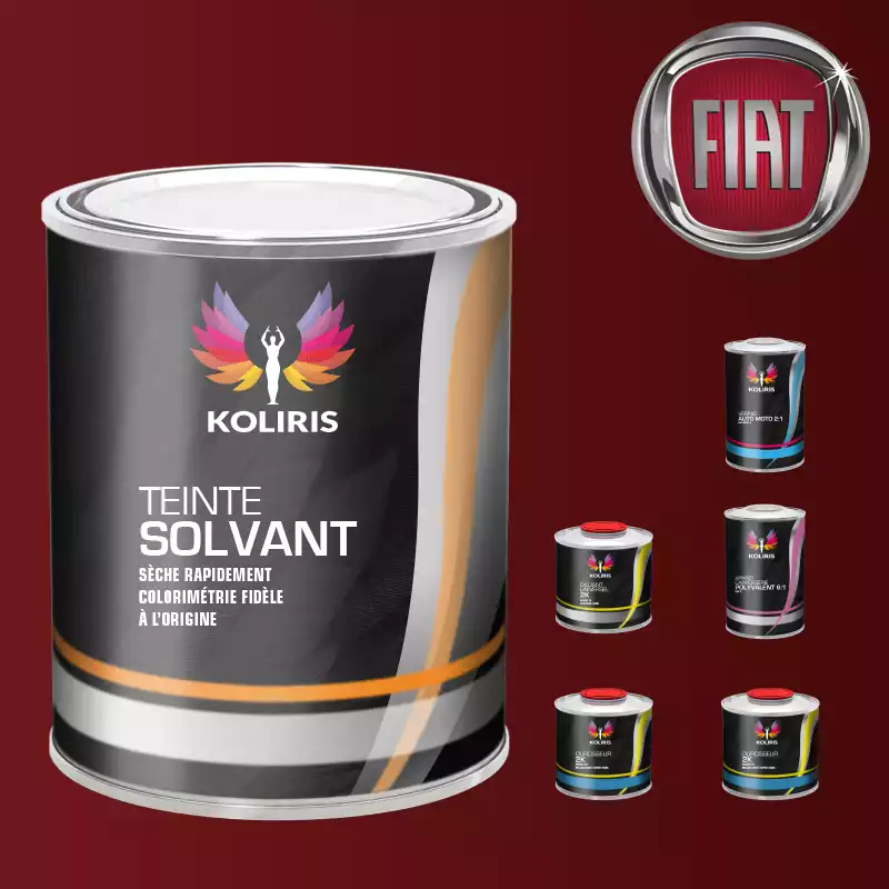 Pack peinture vernis apprêt voiture solvant Fiat