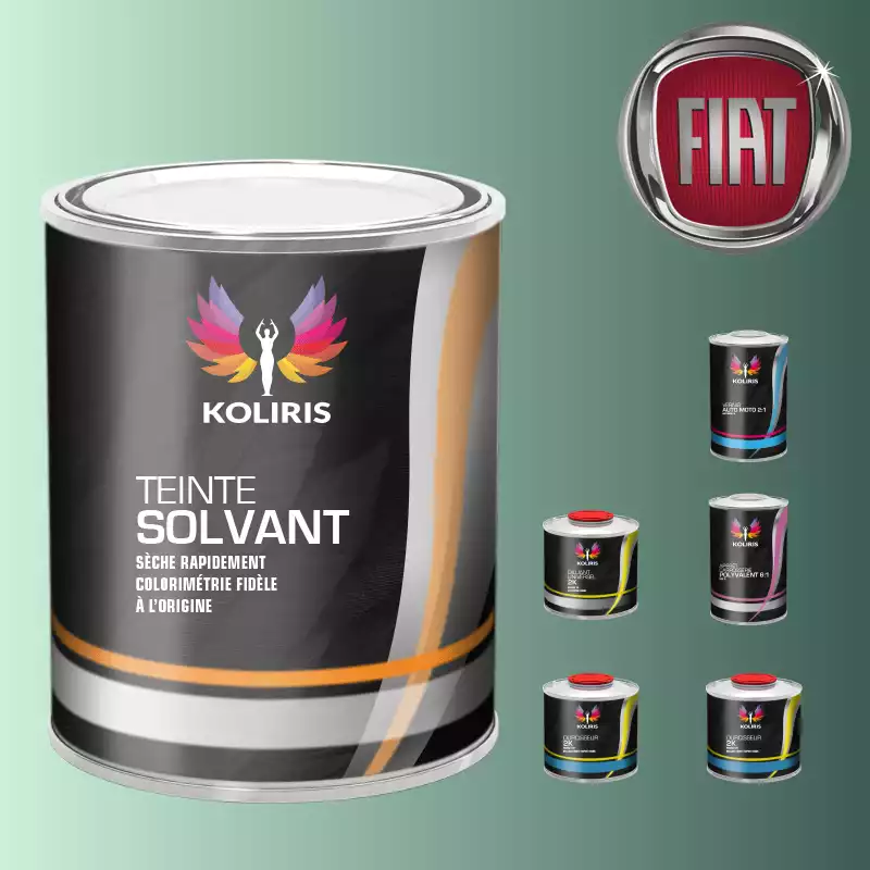 Pack peinture vernis apprêt voiture solvant Fiat