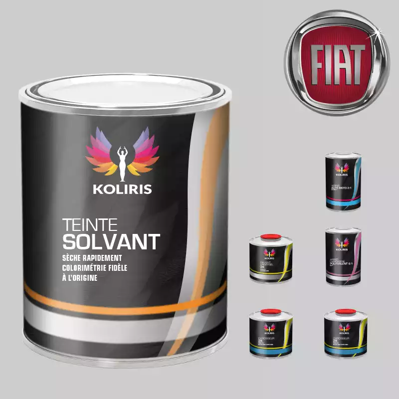Pack peinture vernis apprêt voiture solvant Fiat