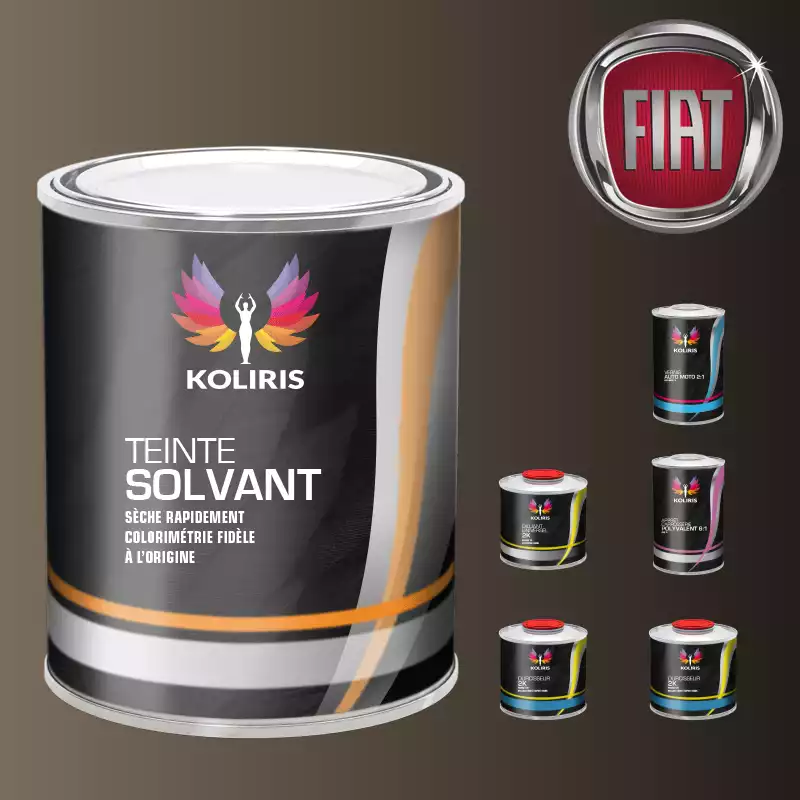 Pack peinture vernis apprêt voiture solvant Fiat