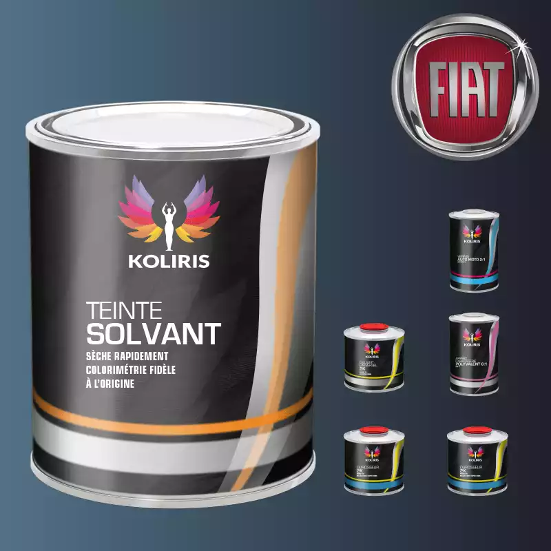 Pack peinture vernis apprêt voiture solvant Fiat