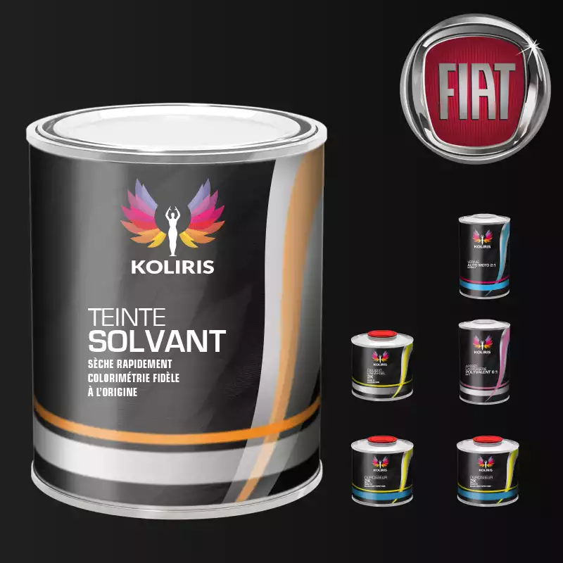 Pack peinture vernis apprêt voiture solvant Fiat